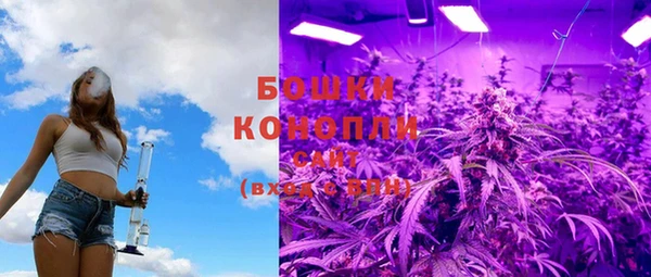 шишки Вязники