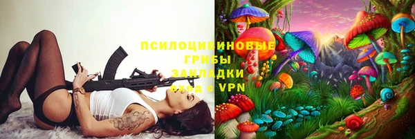 шишки Вязники