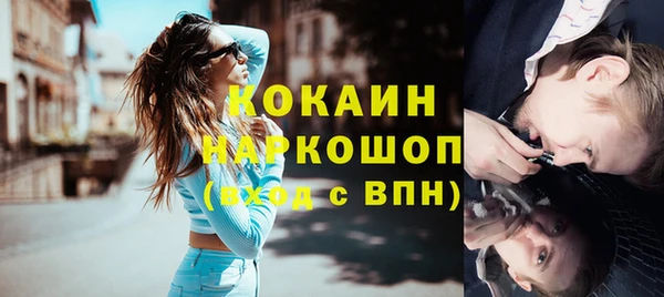 шишки Вязники
