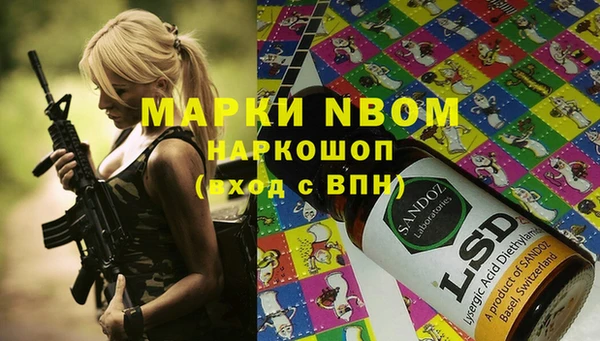 шишки Вязники