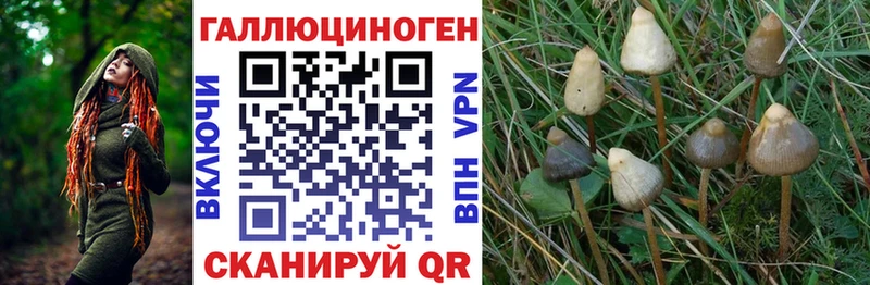 хочу   Новокузнецк  Галлюциногенные грибы Cubensis 